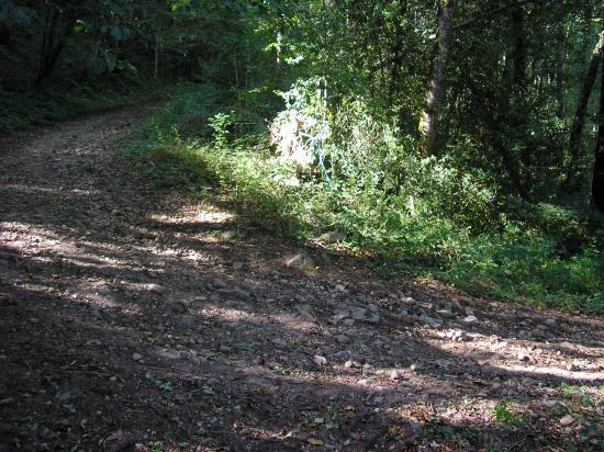PARCOURS LA MADICOISE 11 KM