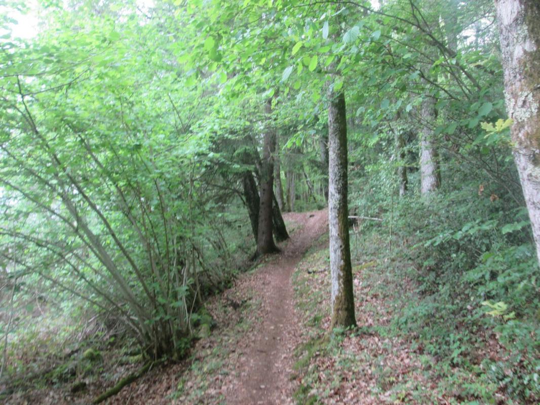 Vtt tours 2019 034 copier